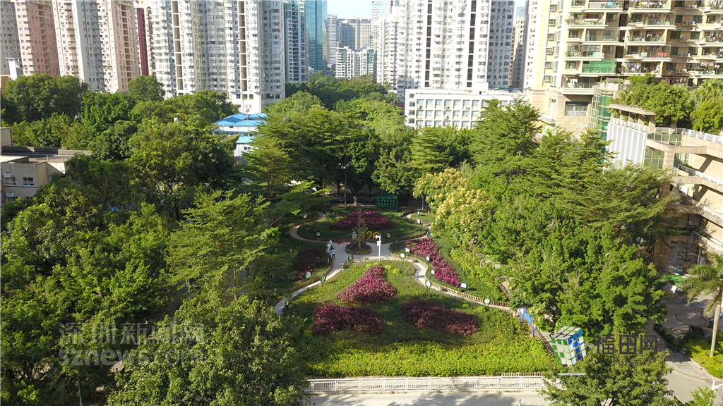  鵬城眼|我的實事我做主！5年辦理“民生微實事”6774件}