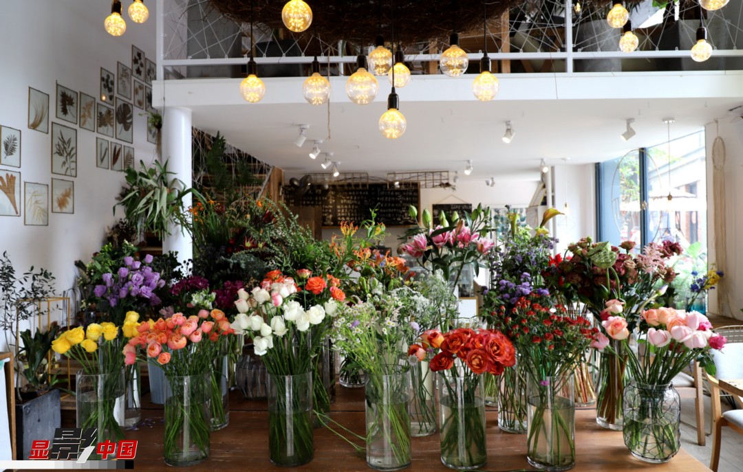 從決定從事鮮花這個行業(yè)以來，王黎媛花了很多的時間和精力去學(xué)習花藝，不斷提高自己的專業(yè)水平。而在小店的選址、裝修和布置方面，王黎媛同樣花費了不少心思，“希望我的小店和鮮花一樣，是有溫度的、鮮活的?！绷硗?，小小的花店也藏著大大的夢想，“我們云南鮮花很多，但真正做成品牌的卻很少，這是非常可惜的。我希望把我的店做成品牌，不光能扎根昆明，還能落地到云南的其他城市，甚至省外的城市。”圖為王黎媛的花店一角。新華網(wǎng) 周亞平/攝 念新洪/文