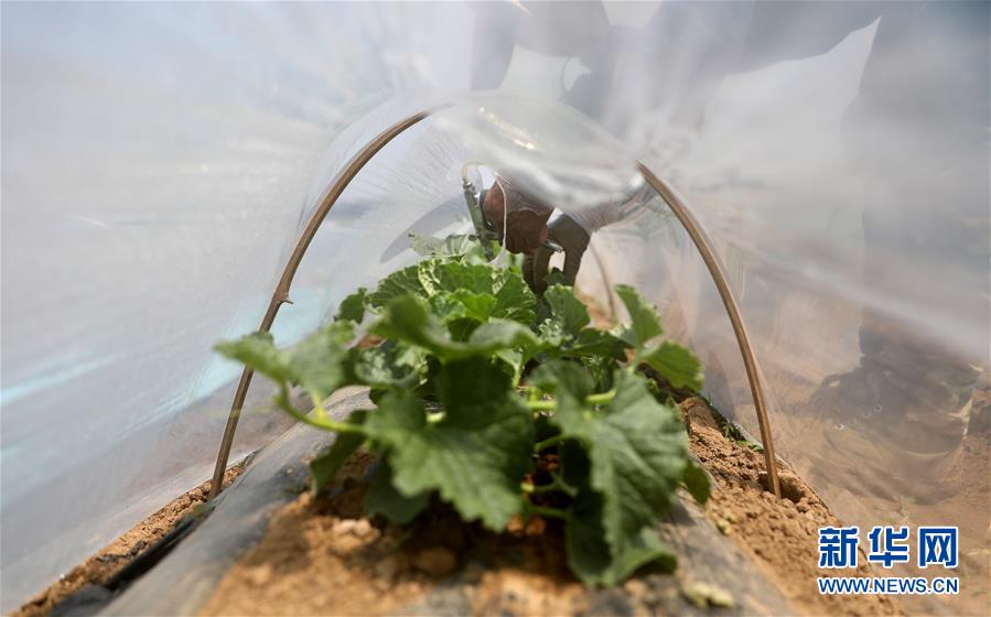 1126046468_15906625105141n.jpg 1126046468_15906625105141n.jpg